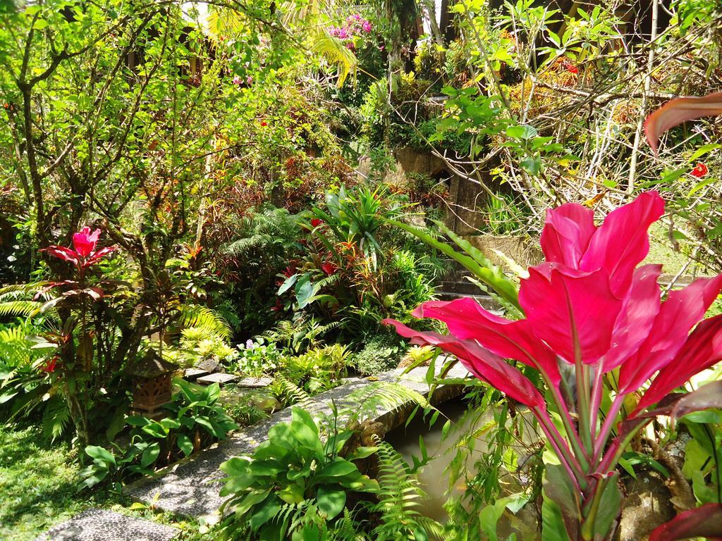 Gusti'S Garden Bungalows Ubud Exteriér fotografie